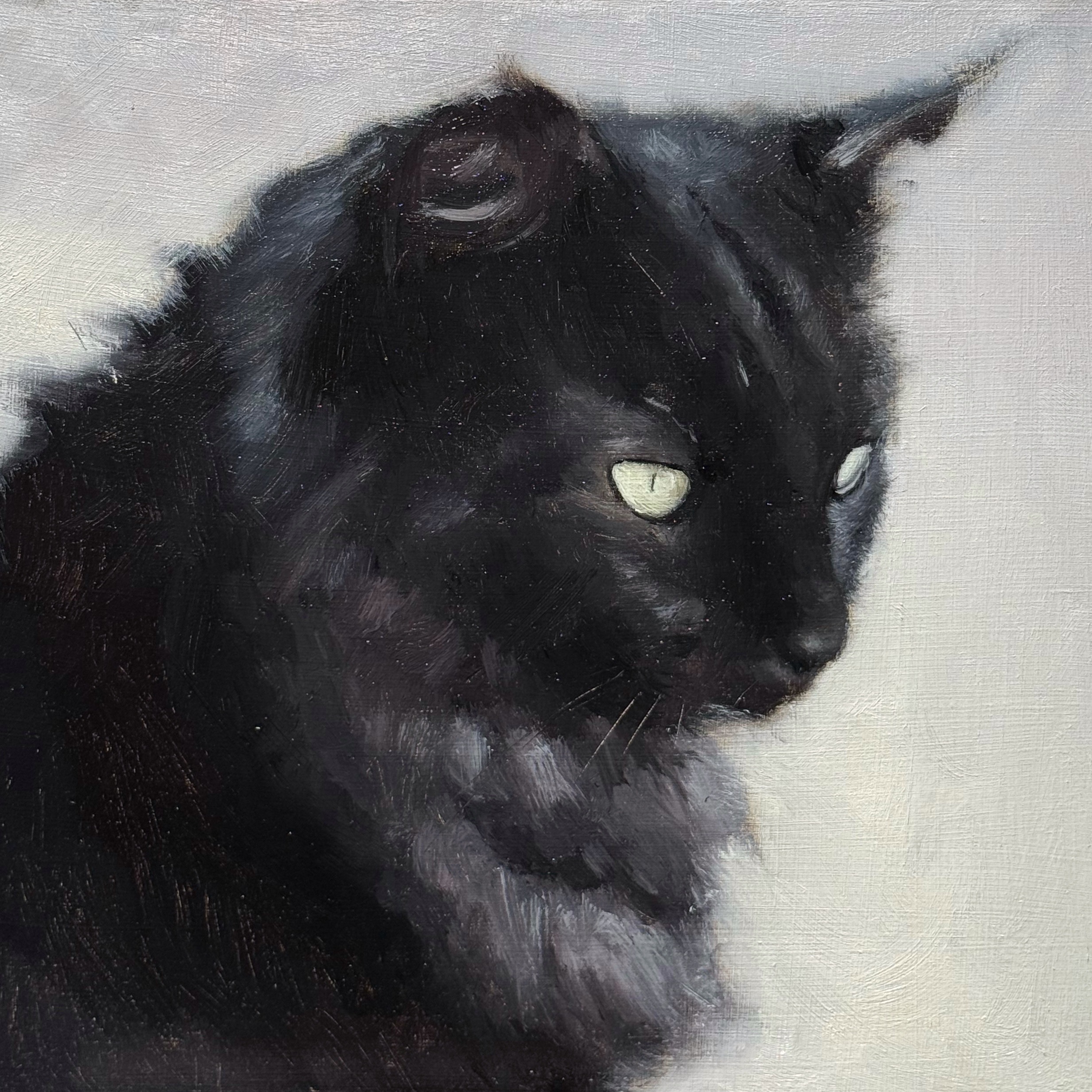 Black cat, oil on panel